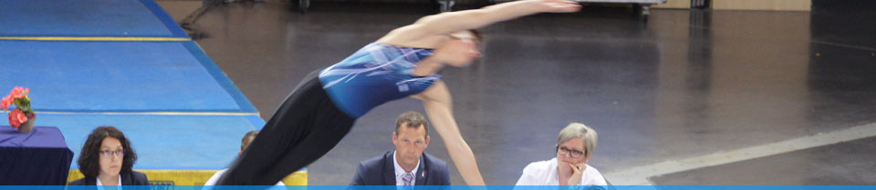 Gymnastique Artistique Masculine LE MANS