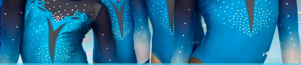 Gymnastique Le MansDanse Le MansParkour Le MansKravmaga Le Mans